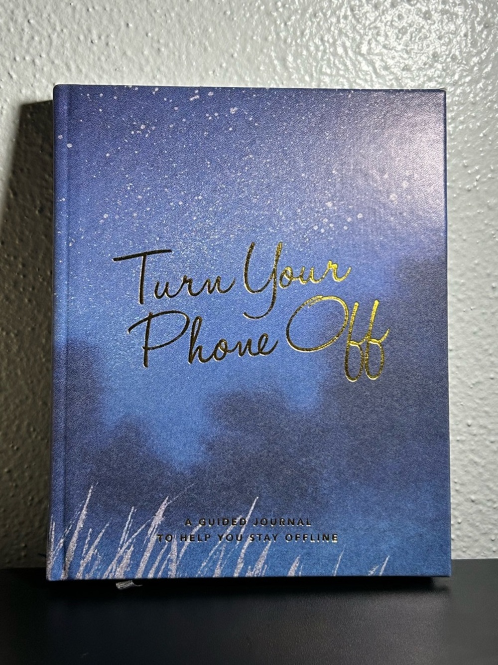Turn Your Phone Off - Blue Guided Journal